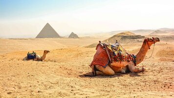 12 Day Highlights of Egypt (Bunnik Tours)