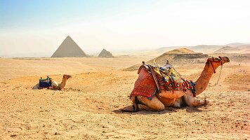 16 Day Egyptian Discovery (Bunnik Tours)