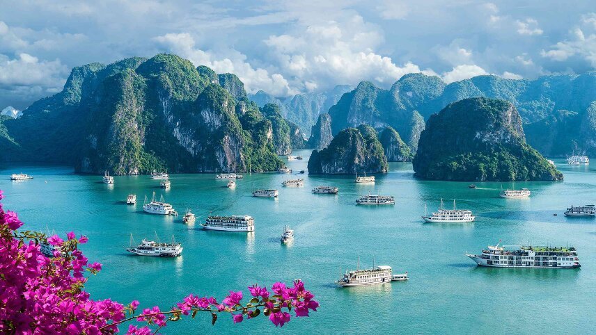 Discover Vietnam