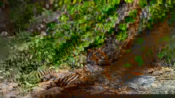 20 Day Colours of Rajasthan (Bunnik Tours)