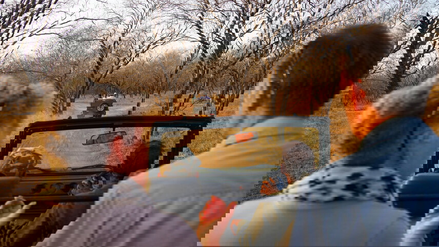 Colours of Rajasthan (Pushkar Festival)