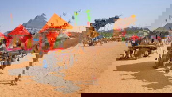 22 Day Colours of Rajasthan (Pushkar Festival) (Bunnik Tours)