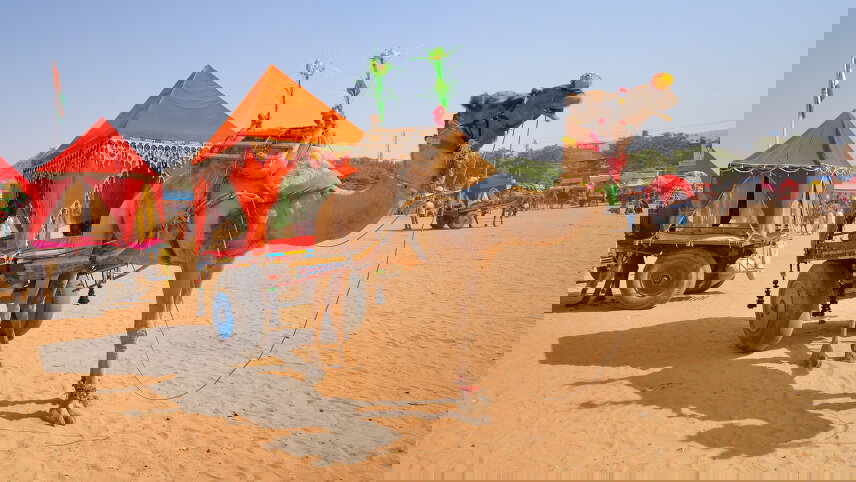 Colours of Rajasthan (Pushkar Festival)