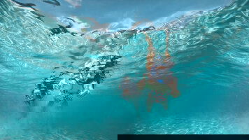 Carnival South Pacific Cruises