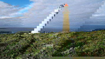 5 Day Kangaroo Island Cruise (Carnival)