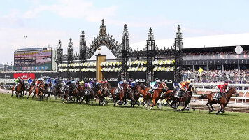 7 Day Melbourne Cup (Carnival)