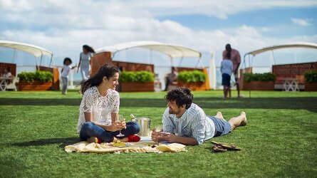 celebrity cruises shore excursions puerto plata Real Lawn at Sea