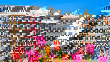 8 Day Belgian + Dutch Tulips (Celebrity Cruises)