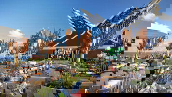 Rooftop Garden Oasis