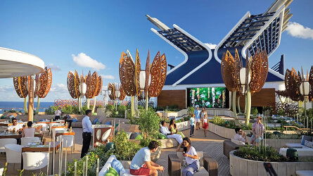 Rooftop Garden Oasis