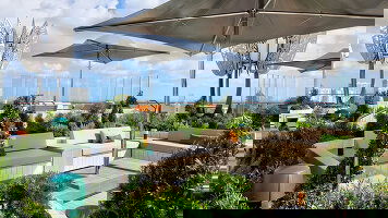 Rooftop Garden Oasis