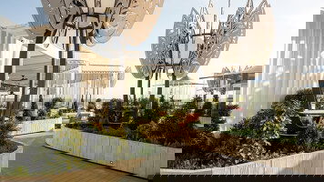 Rooftop Garden Oasis