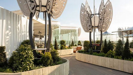 Rooftop Garden Oasis