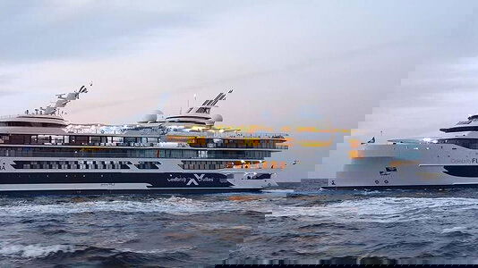 Celebrity Flora Celebrity Flora