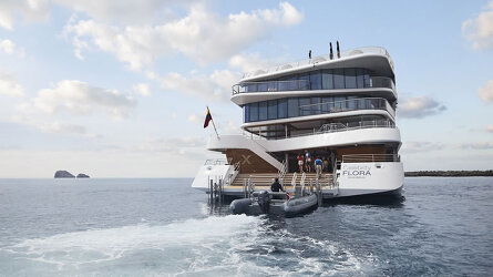 The Flora Distinction