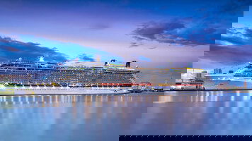 Celebrity Reflection