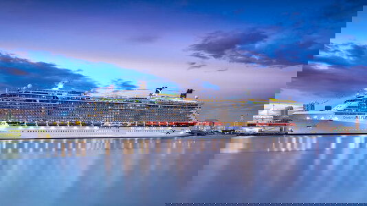 Celebrity Reflection Celebrity Reflection