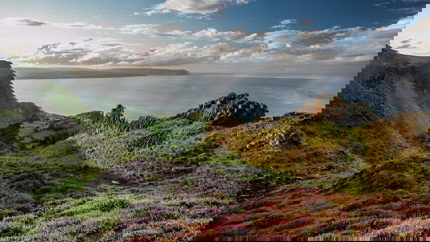 Scottish & Irish Sampler