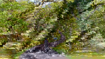 9 Day Ireland Walking & Hiking: Cork to Kerry (CIE Tours)