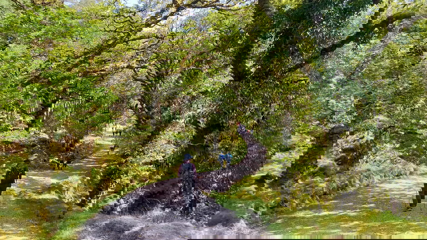 Ireland Walking & Hiking: Cork to Kerry