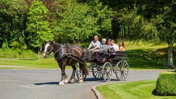 7 Day Best of Ireland South (Tour B) (CIE Tours)
