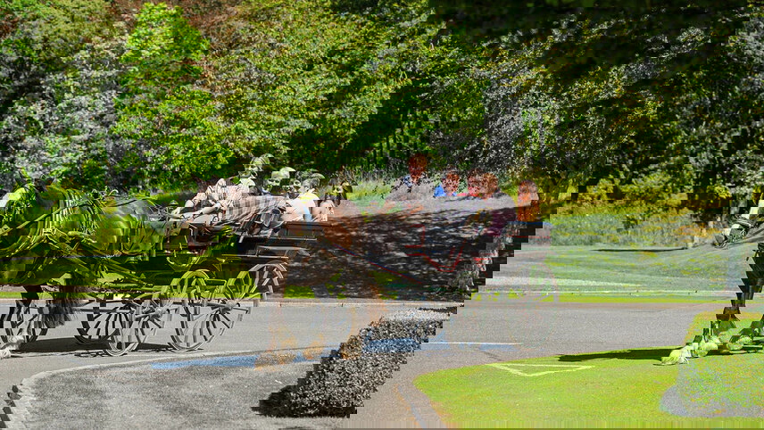 Best of Ireland South (Tour B)