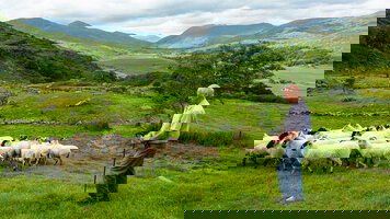 8 Day Best of Ireland South (Tour A) (CIE Tours)