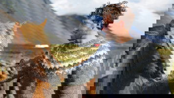 9 Day Icelandic Explorer (CIE Tours)