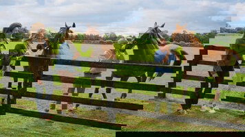 10 Day Irish Legends (CIE Tours)