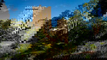 7 Day Taste of Ireland (Tour A) (CIE Tours)