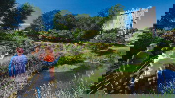 7 Day Taste of Ireland (Tour A) (CIE Tours)