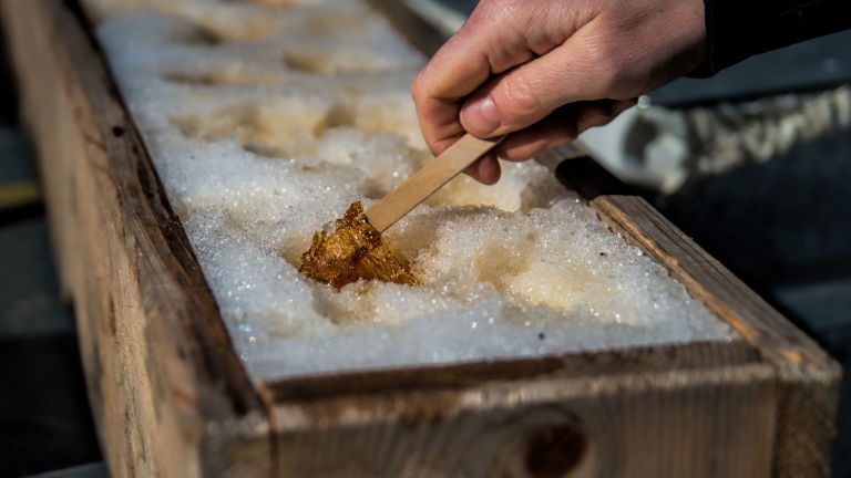 Maple Taffy Made in Snow