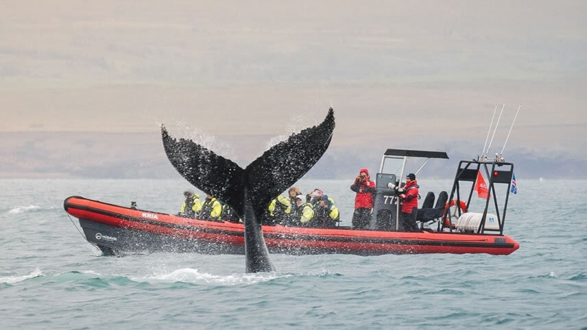 Canadian Rockies & Alaska's Inside Passage