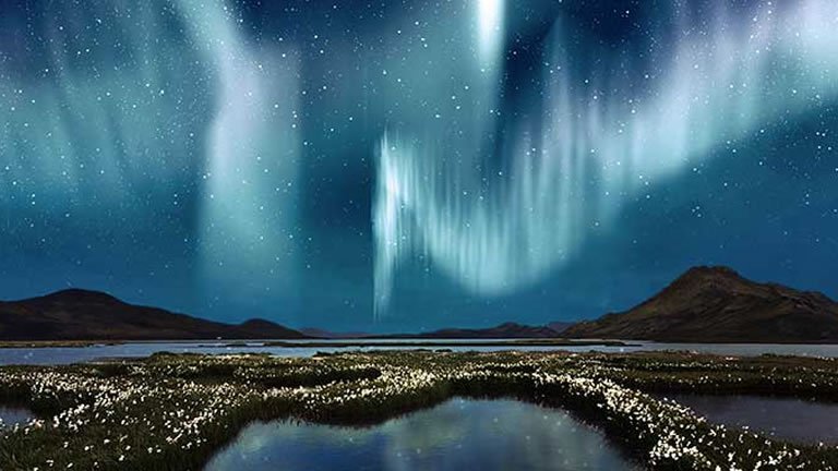 collette tours northern lights of finland