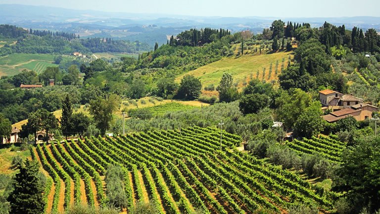 Spotlight on Tuscany - Collette (8 Days From Montecatini Terme to ...