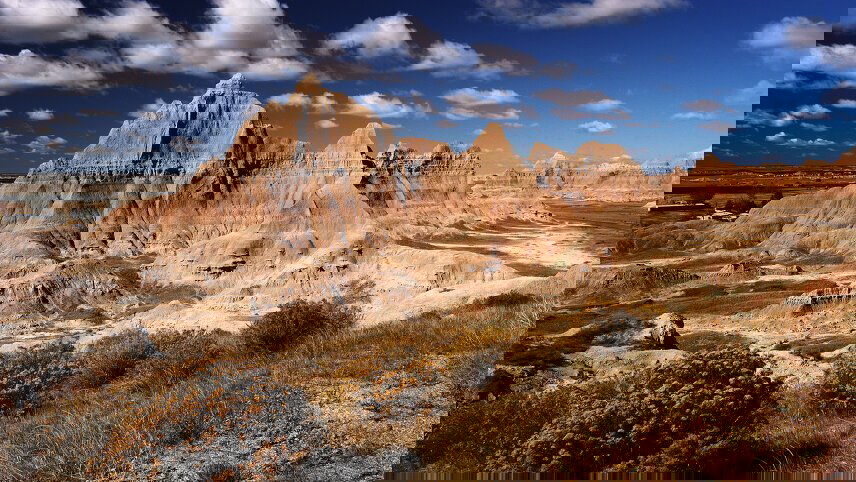 Spotlight on South Dakota