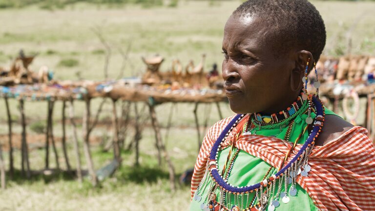 The Plains of Africa