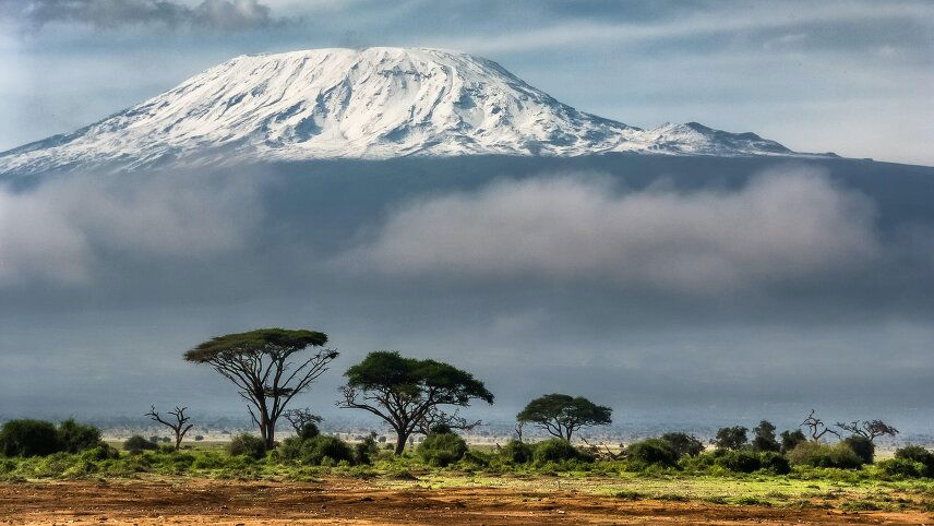 The Plains of Africa