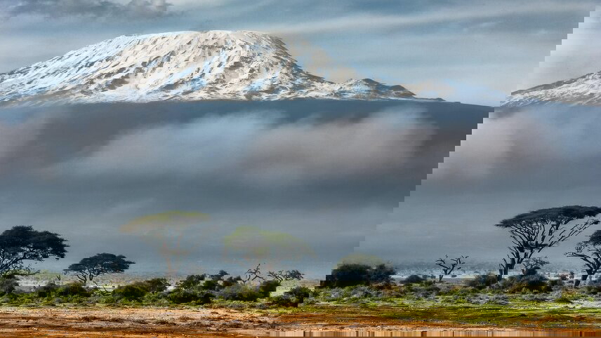 The Plains of Africa