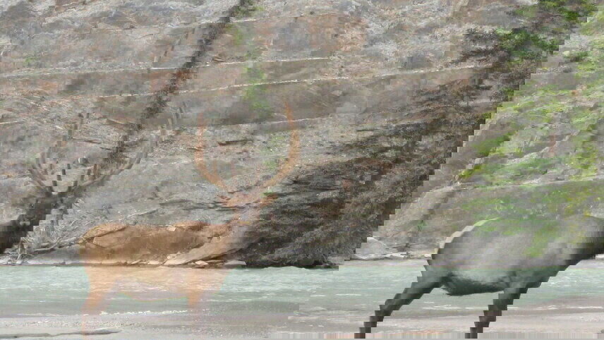 Canadian Rockies & Glacier National Park