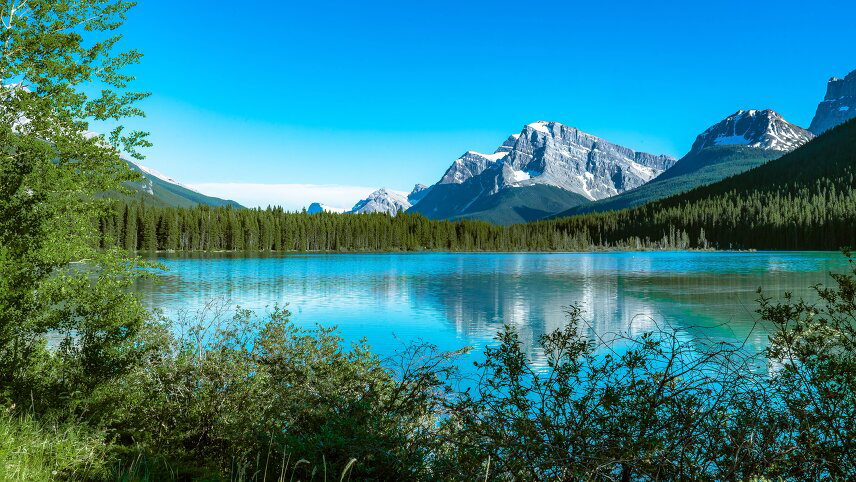 Canadian Rockies by Train