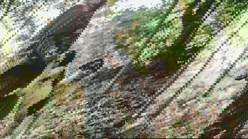 Tuscan & Umbrian Countryside