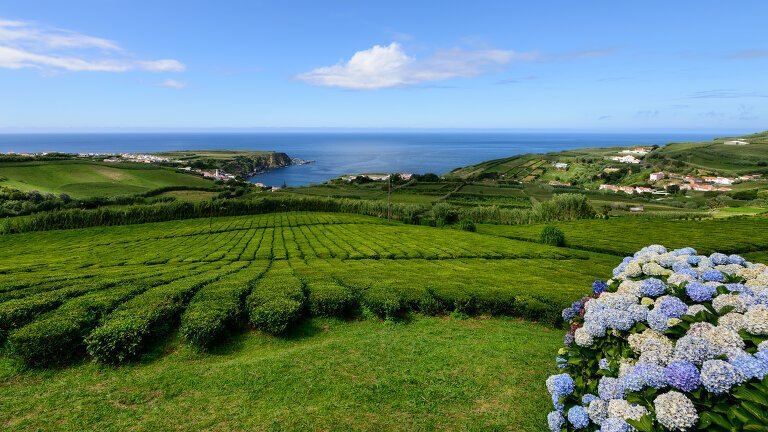 Portugal and its Islands