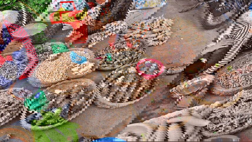 Kingdoms of Southeast Asia