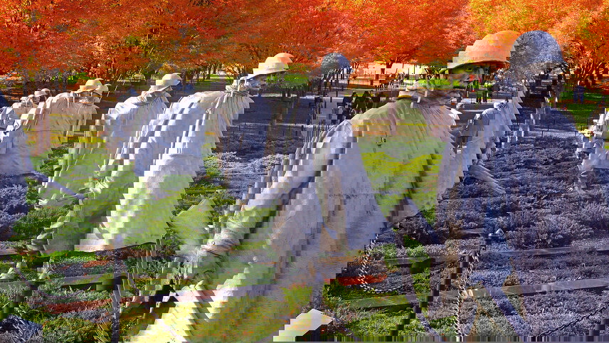 Spotlight on Washington D.C.