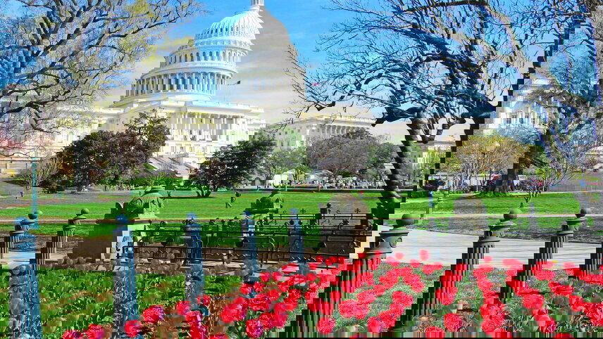 Spotlight on Washington D.C.