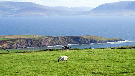 7 Day Irish Splendour (Collette)