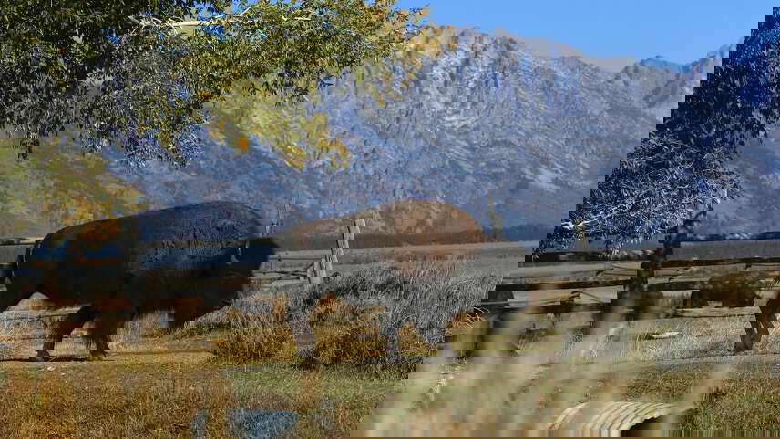 America's Cowboy Country