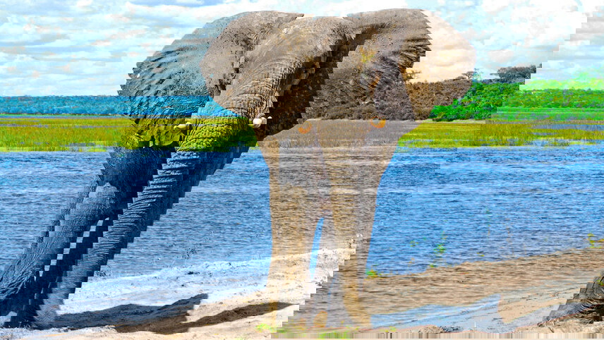 Exploring South Africa, Victoria Falls & Botswana