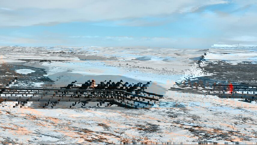 Iceland's Magical Northern Lights